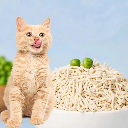 Latest company Solutions about How to make your cat easily adapt to tofu cat litter?