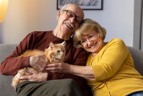 Latest company news about When the pet economy meets the silver economy