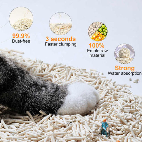 Latest company news about A new trend in green pet care: the importance and advantages of organic cat litter