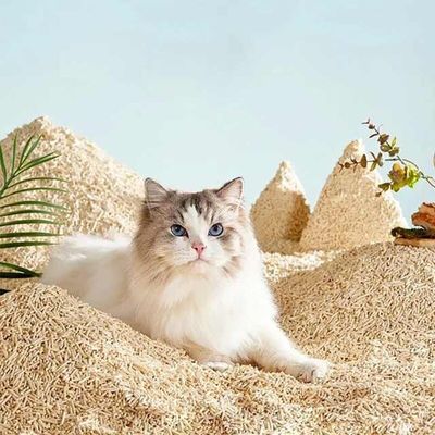 Multi Fragrance Tofu Cat Litter Eco Biodegradable Tofu Cat Litter