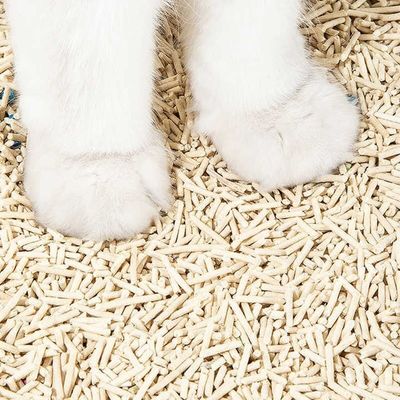 Fast Clumping Tofu Cat Litter for Easy and Convenient Litter Box Maintenance