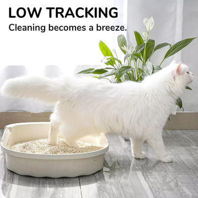 Good price OEM Premium Easy Clean Plant Degradable Tofu Cat Litter strong clumping online