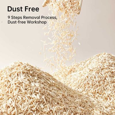 Buon prezzo OEM Forte assorbimento Naturale Tofu Cat Litter Controllo odore Facile pulito Libero di polvere in linea
