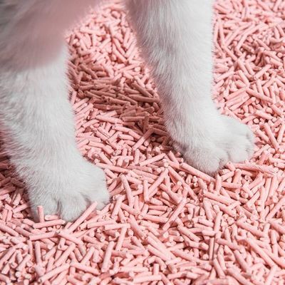Good price Natural Plant Biodegradable Peach Cat Litter Stripe Shape Multi Flavor Fast Clumping online