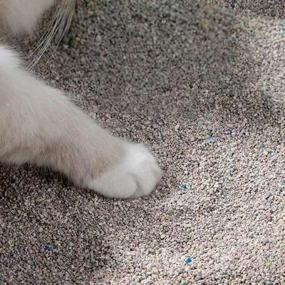 Good price Crushed Strong Clumping Ore Litter 100 Percent Dust Free Cat Litter online