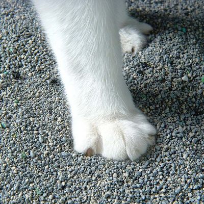 Good price Sodium Based Ore Cat Litter Customize 100 Dust Free Cat Litter online