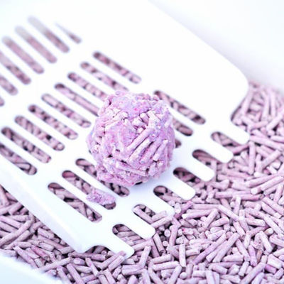 Buon prezzo ODM Lavanda perfumata Cat Litter Pea Corn Starch Lavanda Cat Litter in linea