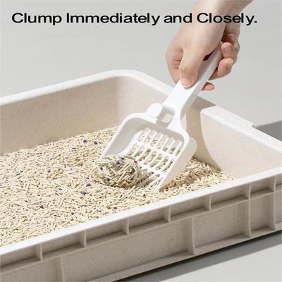 Good price 70% Tofu 30% Bentonite Mixed Litter High Absorbency Tofu Sand Litter online