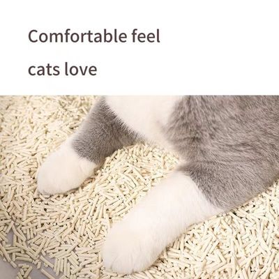 Sustainable Tofu Cat Litter High Absorption Biodegradable Cat Litter