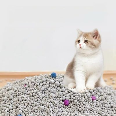 Customized Bentonite Cat Litter 10 Kg Organic Sodium Bentonite Kitty Litter