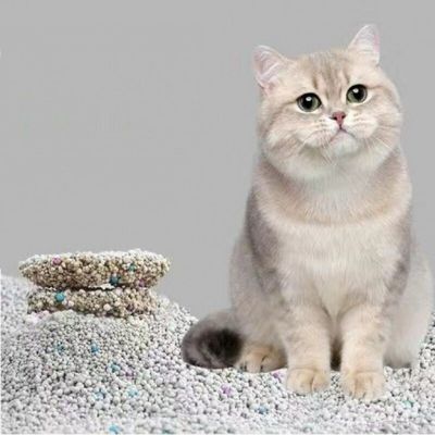 Economical Cat Sand Bentonite Odor Control Deodorizing Bentonite Litter For Cats