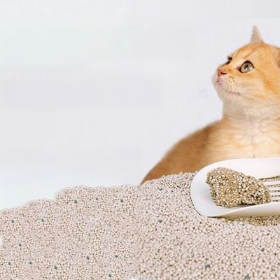 OEM ODM Spherical Bentonite Cat Litter Sustainable Bentonite Cat Sand
