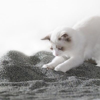 Good price Easy Scooping Ore Cat Litter Grey Dustless Kitty Litter Natural Materials online