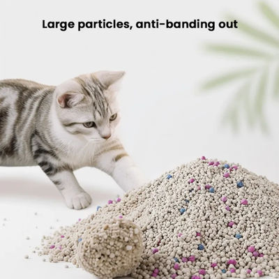 Good price Lock Strong Cat Toilet Sand Deodorization Clumping Bentonite Cat Litter online