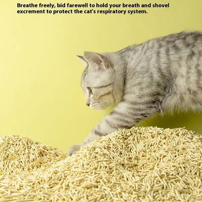 Pet Accessories Supply Dust-Free Natural Plant Tofu Cat Litter Biodegradable Eco-Friendly Clumping Sand